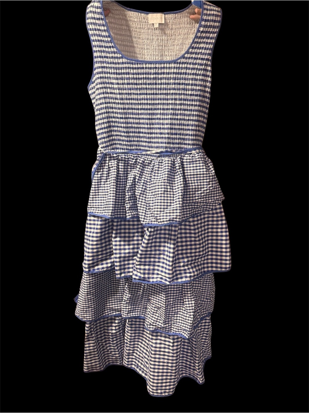 Sugarlips Blue and White Smocked Gingham Dress